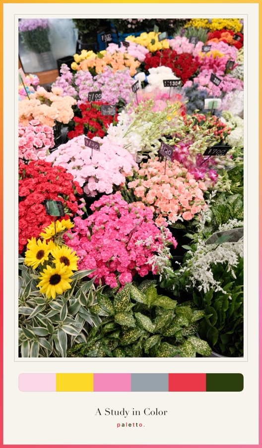 Flowers in the Paletto signature frame
